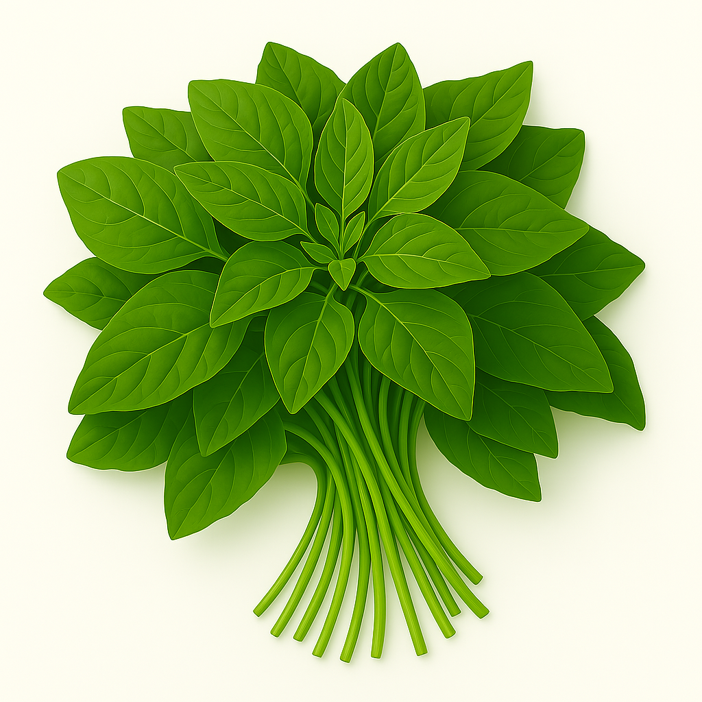 Chaulai Sag,Tropical Amaranth,Thotakura,Chikkire Soppu,Sirukeerai