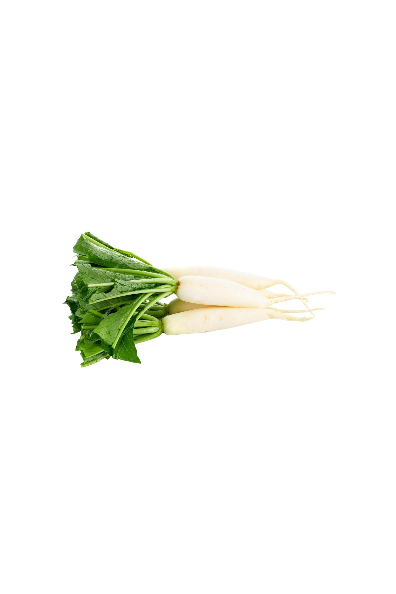 Radish Combo KIT