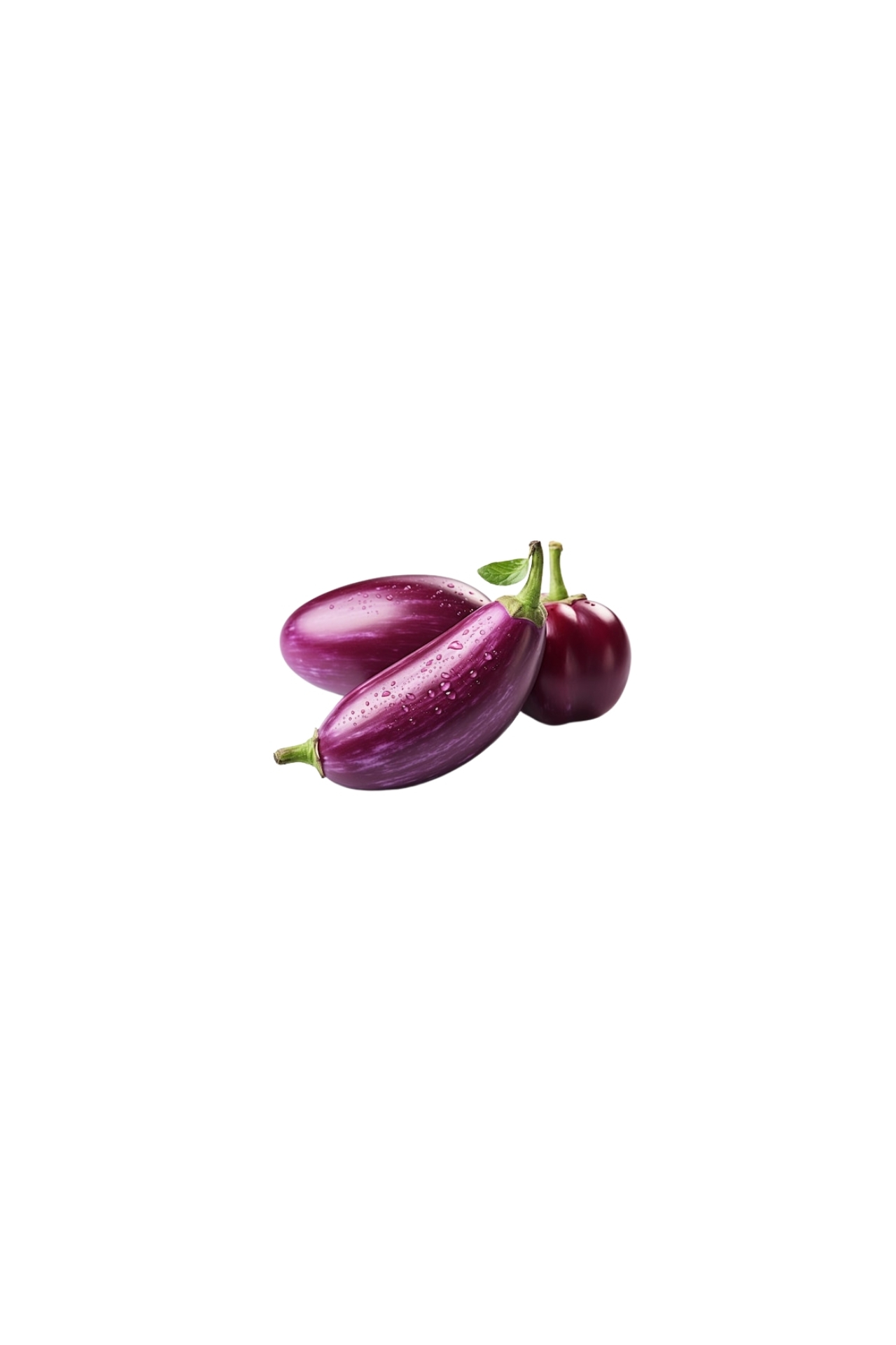 Brinjal Bounty KIT