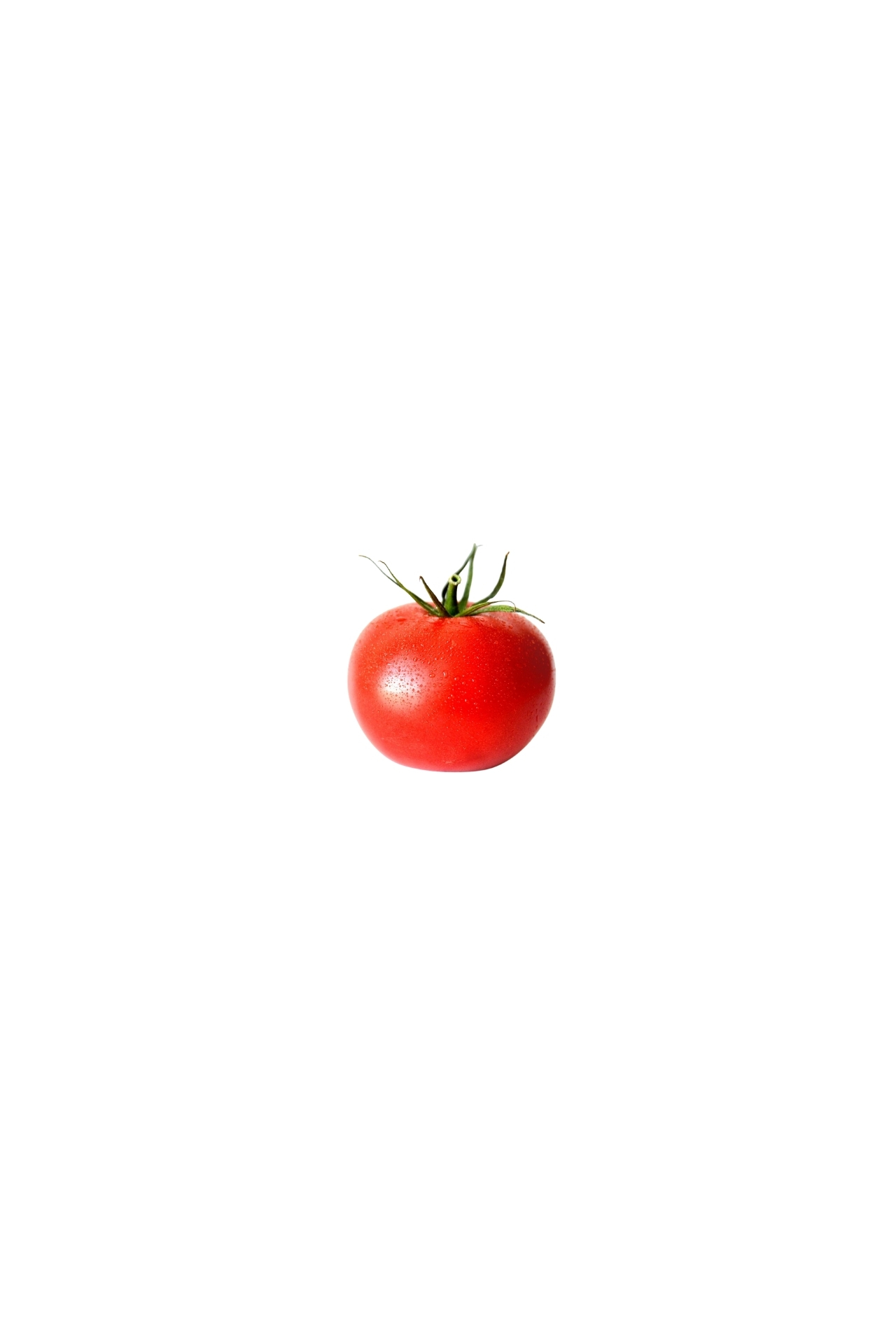 Tomato Combo KIT