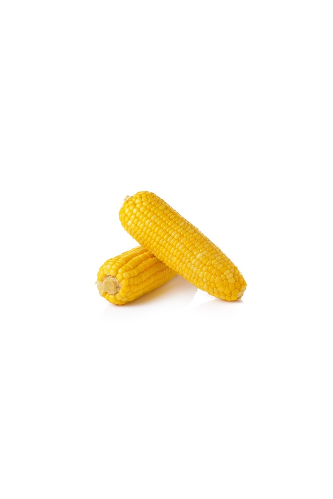 Sweet Corn Combo KIT